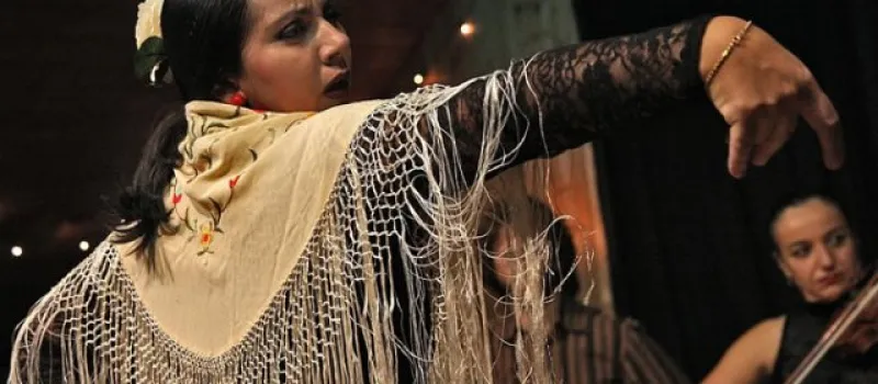 Espectacle Flamenc 