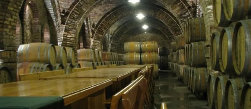 Tour de Vins i Caves 
